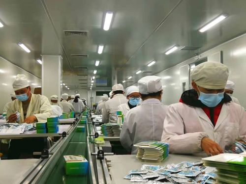 皖黃山市 藥企加班加點生產保供應